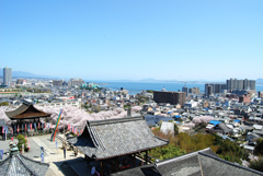 �O�䎛