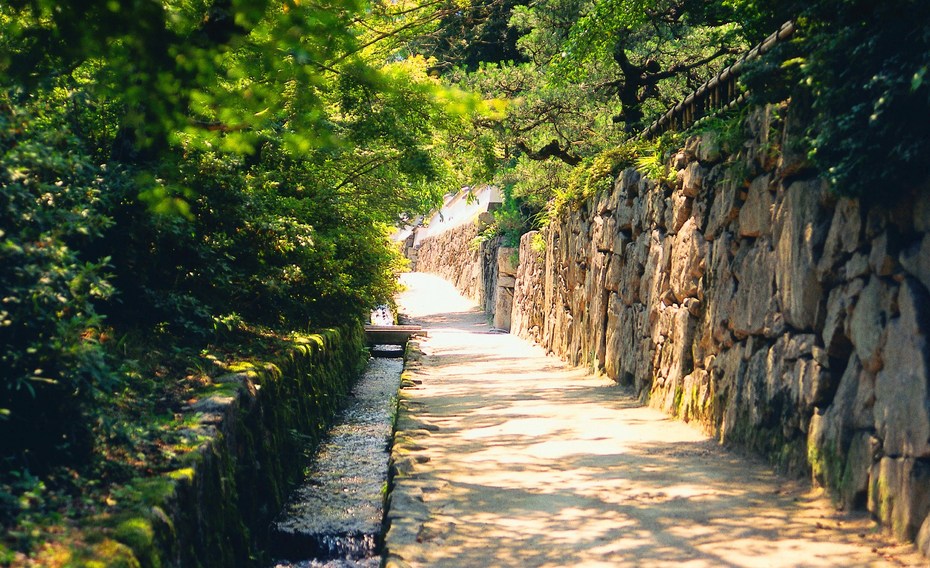 Hieisan-Okuhiei Driveway