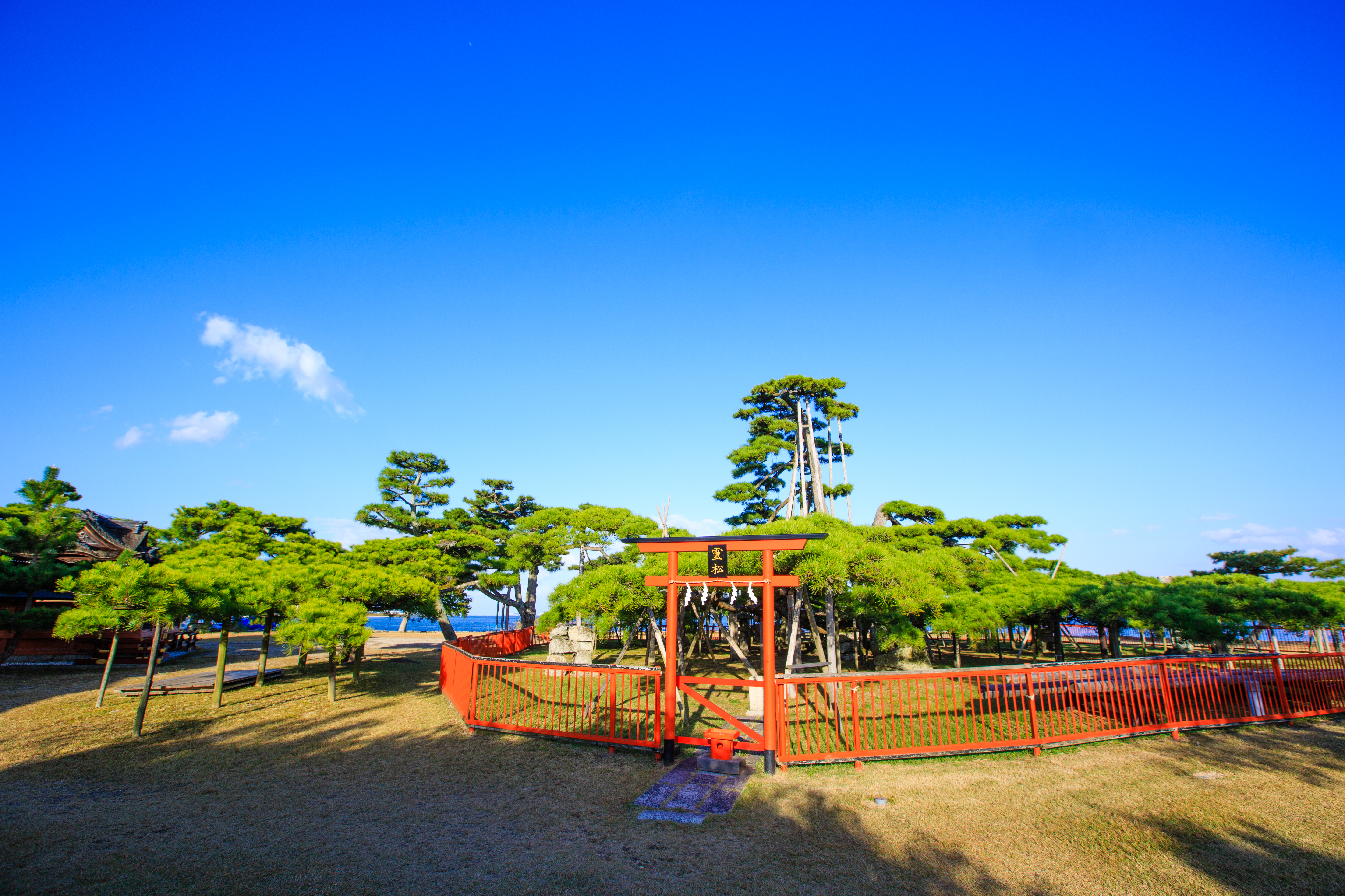 12-0003.jpg