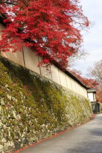 0004 滋賀院門跡