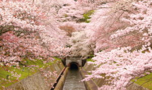 0001 琵琶湖疏水