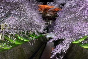 0003 琵琶湖疏水