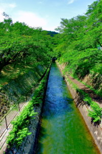 0005 琵琶湖疏水