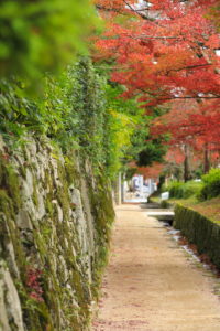 0009 坂本のまちなみ