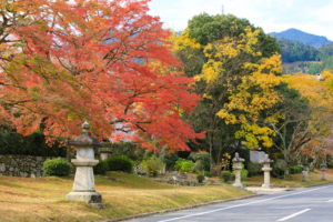 0010 坂本のまちなみ