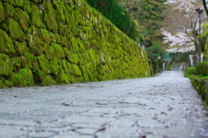 0011 坂本のまちなみ