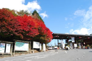 0009 比叡山ドライブウェイ