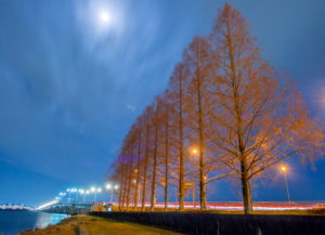 0005 近江大橋