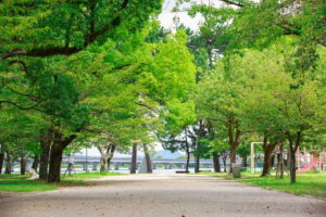 0003 膳所城跡公園