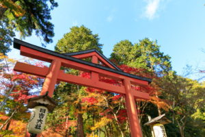 0001 日吉大社