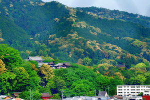 0011 三井寺