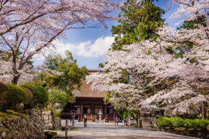 0018 三井寺
