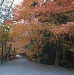 0020 三井寺