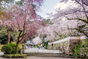 0024 三井寺