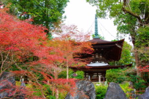 0005 石山寺